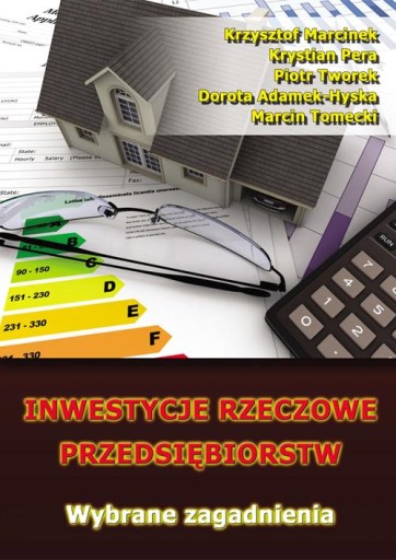 INWESTYCJE RZECZOWE PRZEDSIĘBIORSTW. WYBR.. EBOOK