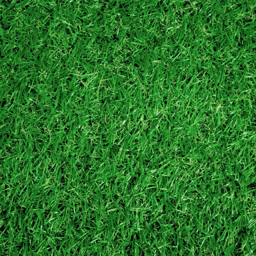 SZTUCZNA TRAWA JASMINE 15mm 2M