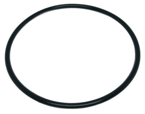 BESTWAY FLOWCLEAR DUŻA USZCZELKA DO ZBIORNIKA POMPY PIASKOWEJ 58404