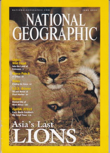 National Geographic Polska Nr. 6 /2001 6 / 2001