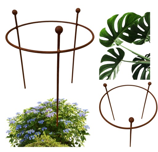 Podpórki Podpora roślin krzewów kwiatów róż hortensji piwonii D35 H55cm 2sz