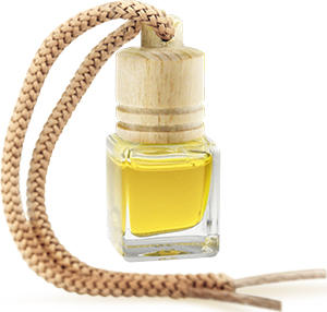 Zapach w butelce VANILLA 5ml Perfumy ELIX do samochodu