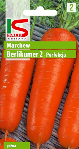 Marchew BERLIKUMER 2 perfekcja 5g nasiona salnas