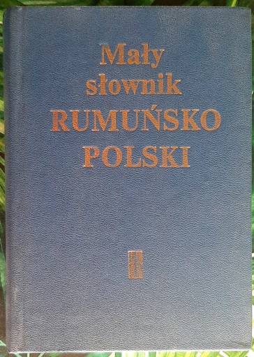 MAŁY SŁOWNIK RUMUŃSKO POLSKI ZDZISŁAW SKARŻYŃSKI