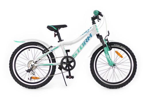 ROWER DZIECIECY STORM QUEEN 20 ALU RAMA