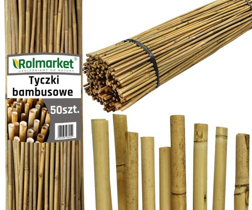 50x TYCZKI bambusowe 105cm TYCZKA PODPORA na pomidory ogórki PĘDÓW 8-10 mm