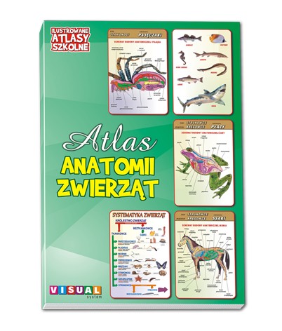 ZESTAW ILUSTROWANYCH ATLASÓW SZKOLNYCH x6 Anatomii