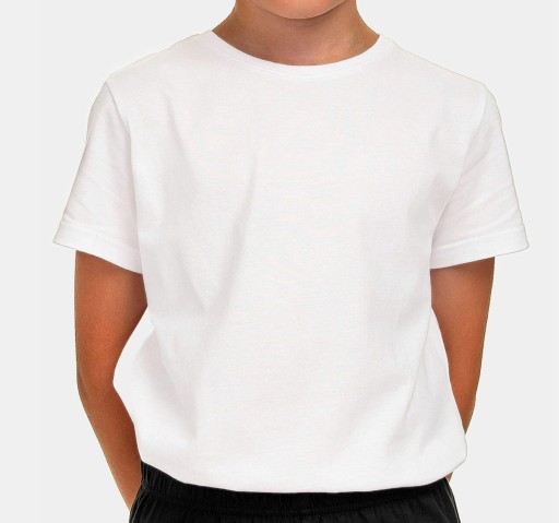 CHŁOPIĘCA KOSZULKA T-SHIRT WF BAWEŁNA biała 164