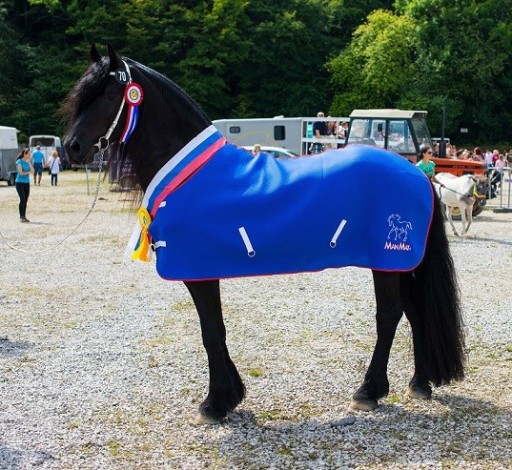 DERKA UNIWERSALNA MANMAT UNIVERSAL STABLE BLANKET