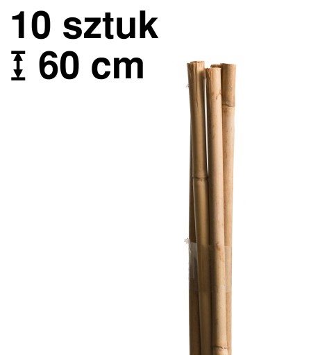Naturalne bambusowe tyczki do roślin Tonkin - ⌀6 mm / 60 cm, 10 sztuk