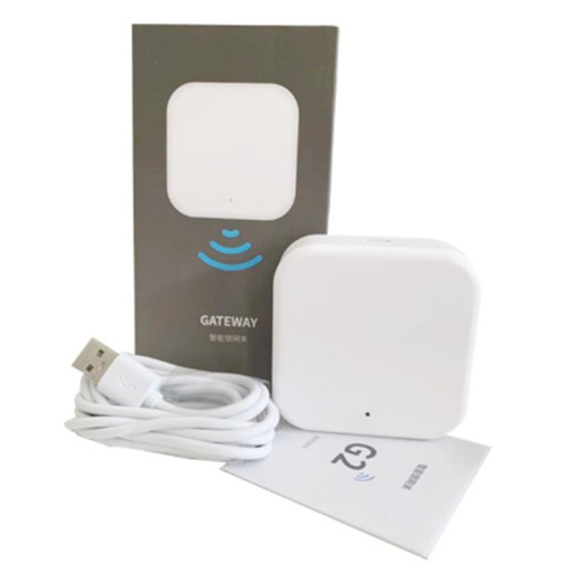 G2 Gateway for TT Lock APP Bluetooth Intel