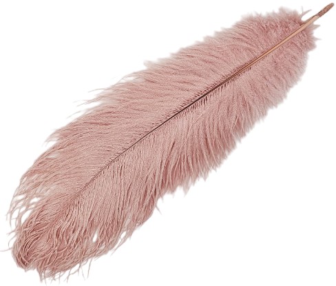 STRUSIE PIÓRA PIÓRO NATURALNE 35-40CM RÓŻOWE