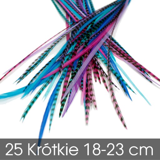25 Piórka Pióra do Włosów 18-23cm Berry