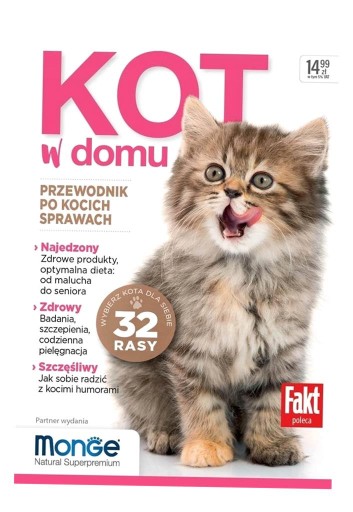 KOT W DOMU PRACA ZBIOROWA
