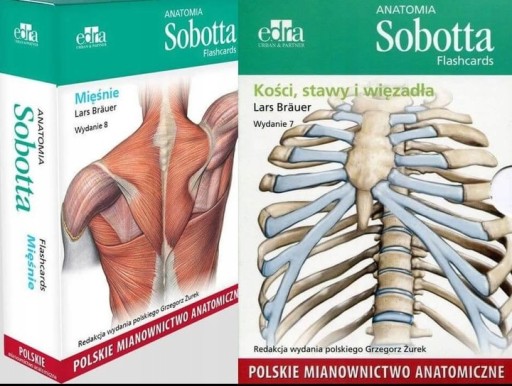 Anatomia Sobotta Flashcards Mięśnie + kości stawy Polskie mianownictwo