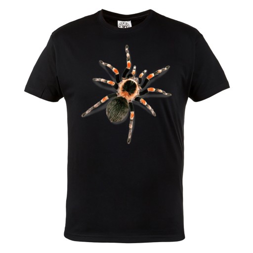 MĘSKA KOSZULKA Z NADRUKIEM PAJĄK TARANTULA