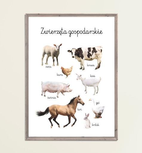 Plakat Edukacyjny Zwierzęta Gospodarskie Farma A4 Montessori dla dzieci