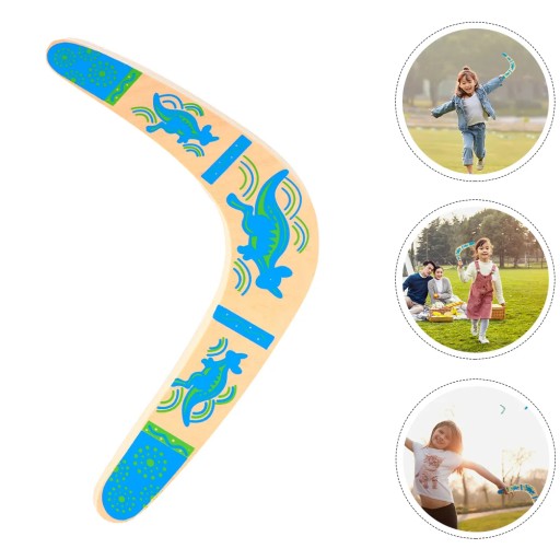 Interesting Kids Boomerang Interactive Boomerang