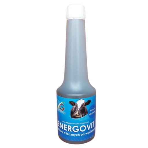 ENERGOVIT DODATEK ENERGETYCZNO – WITAMINOWY 600g