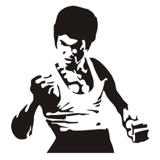 Srebro 2szt Bruce Lee Naklejki Samochód Motocykl O