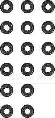 12-31306-12/RNZ ZESTAW USZCZELNIACZY TRZONEK