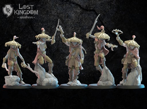 Dark Elves - Akkorokamui, Corsairs x5 - Druk 3D