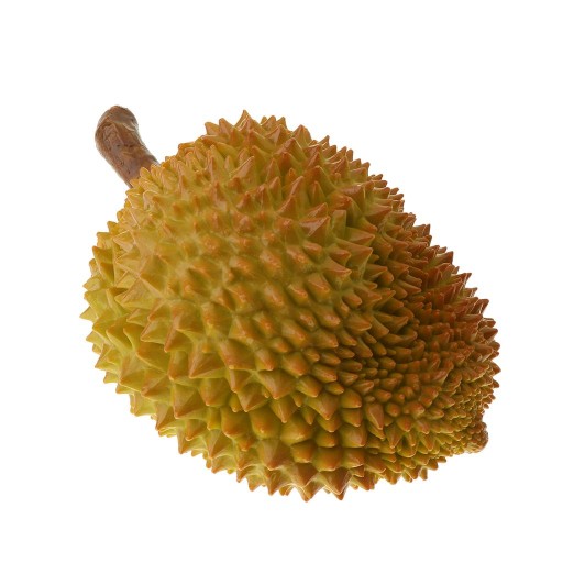 zr-Simulated Fruits Durian C