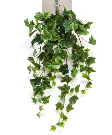 sztuczny BLUSZCZ pnącze 70cm Hedera bluszcze pnące
