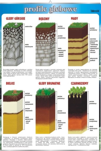 PROFILE GLEBOWE PLANSZA EDUKACYJNA VISUAL SYSTEM