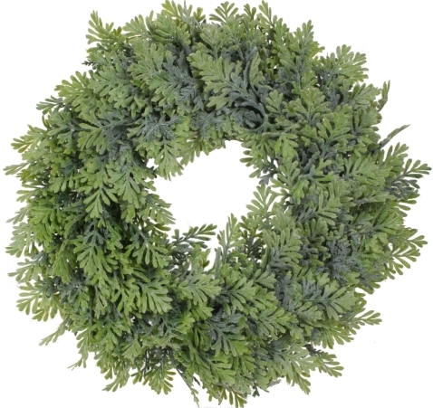 WIANEK TUJA THUJA fi 30 cm PUDROWA ZIELEŃ
