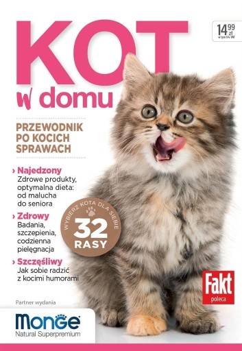 KOT W DOMU PRACA ZBIOROWA