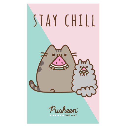 KOT PUSHEEN THE CAT RĘCZNIK DZIECIĘCY DO RĄK RĘCZNICZEK PRZEDSZKOLE 30x50