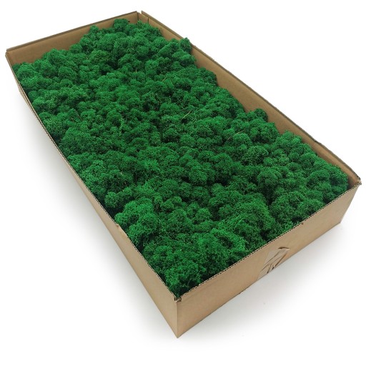 Mech chrobotek fiński 500g