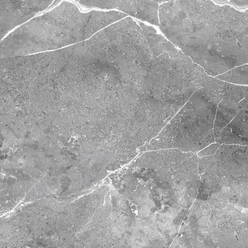 PŁYTKI PODŁOGOWE 60x60 HAMBURG GREY