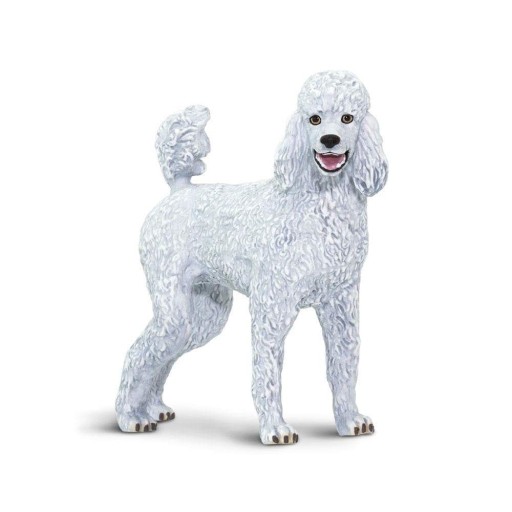 Pies Pudel - Poodle - Safari Ltd. - 100063