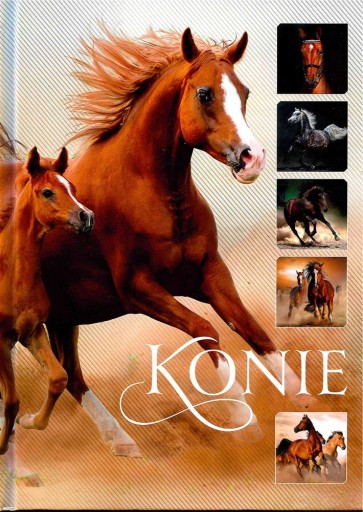 Konie Ewa Walkowicz