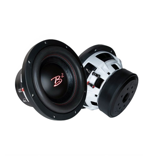 B2 Audio RIOT12 D2 V2 12