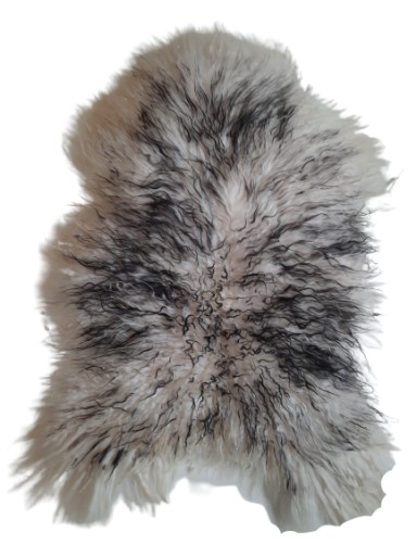 Skóra Owcza Island Muflon Czarny 111-130cm Kręcona