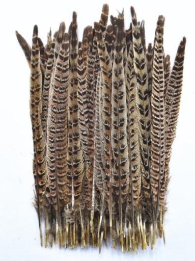 10 sztuk naturalne pióra brązowe BAŻANT 20-25 CM