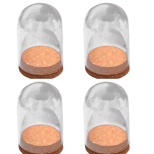 4 . Szklana kopuła Wyświetlacz Cloche - Ochronny