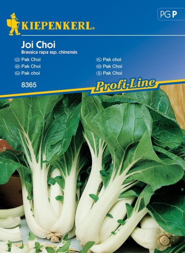 Pak Choi 'Joi Choi' F1 - nasiona Kiepenkerl