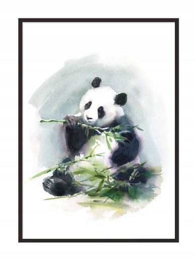 OBRAZ PLAKAT W RAMIE 53x73 cm Panda PD274