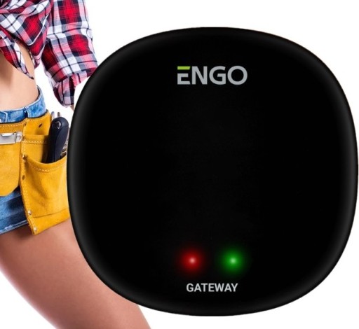 SALUS BRAMKA INTERNETOWA DO URZĄDZEŃ SMART ENGO