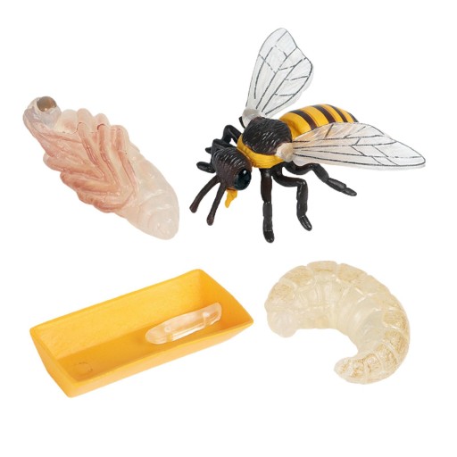 4 . Różne owady Bee Bug Figures Model