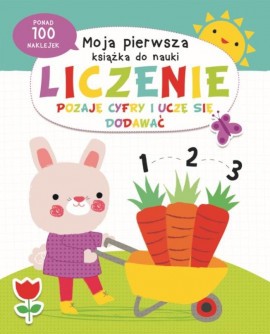 Moja pierwsza książka do nauki - liczenie + 200 naklejek
