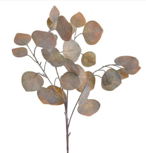 EUKALIPTUS POPULUS GAŁĄZKA AUTUMN GR 70cm