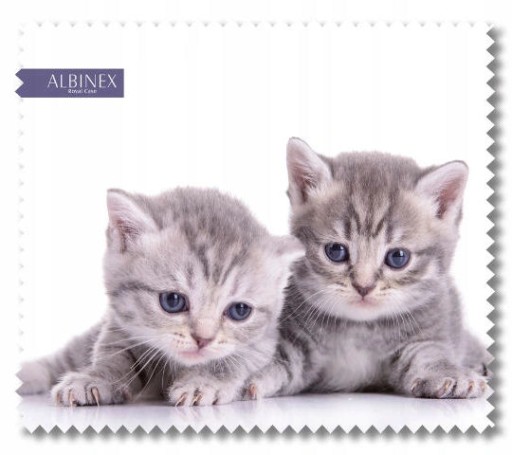 ŚCIERECZKA DO OKULARÓW Albinex Mikrofibra Z Wzorem