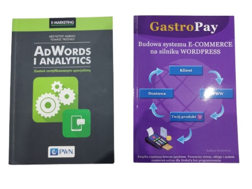 Google AdWords i Analytics, WordPress: zestaw
