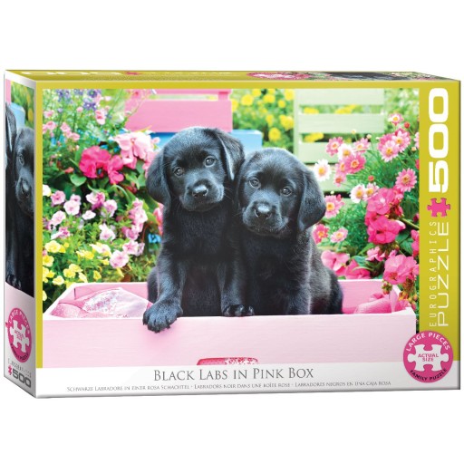 Puzzle Eurographics 500 szt. EUROGRAPHICS 500 el. Black Labs in Pink Box