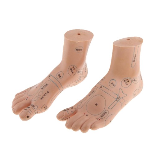 2pcs Foot Massager Reflexology Point Models